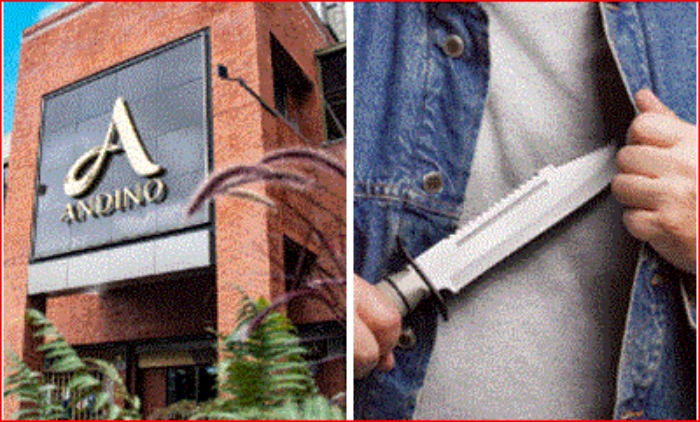 Inseguridad- robo- Bogotá- Alcaldia de Bogotá- CC Andino- Alexandra Montoya- 26Nov-