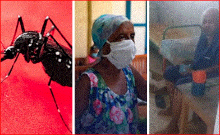 Epidemia- Cuba- salud- Médico- chikunguña-