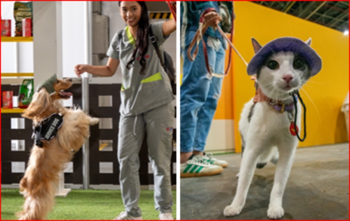 Expopet Medellín- Animales- cuidado- prevención-