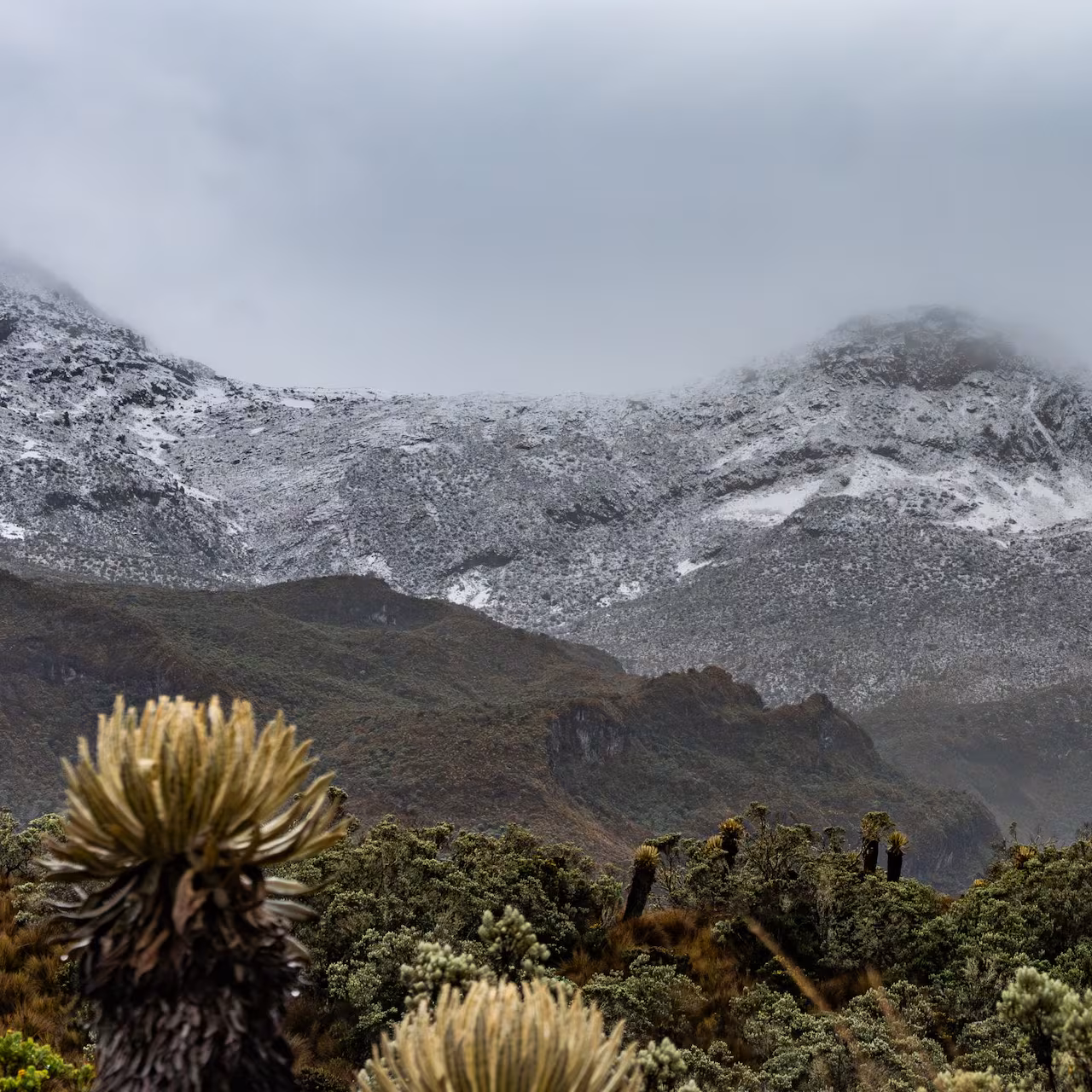 El Parque Nacional Natural Los Nevados anuncia cierre temporal: fechas y razones de la medida