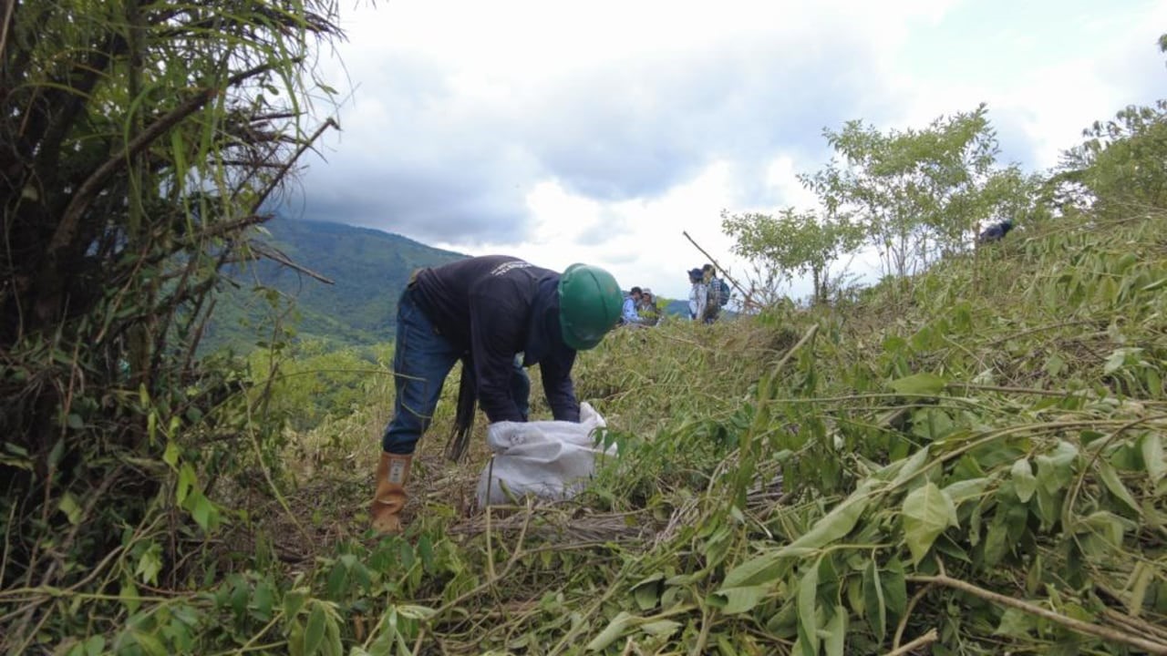 Prácticas ambientales que transforman comunidades: el camino hacia una Cúcuta más sostenible