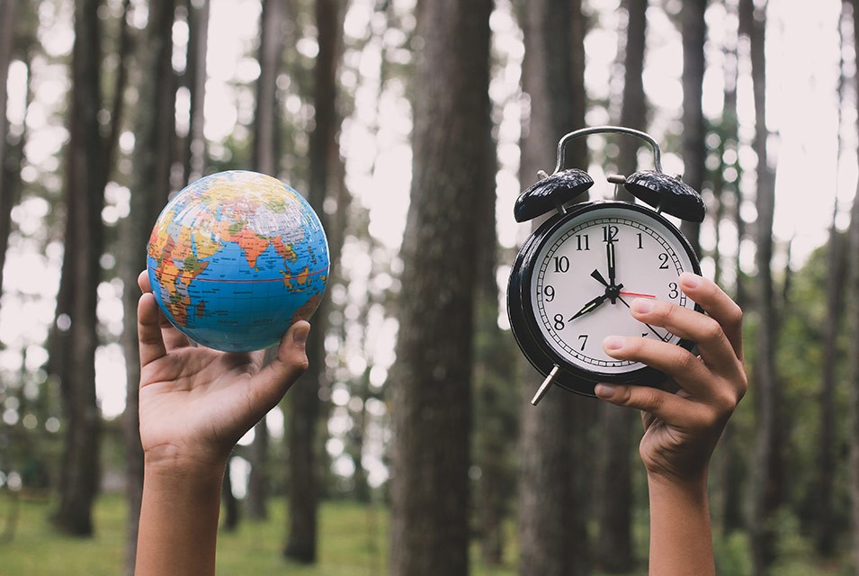 2025 dejó hitos clave en la defensa del medioambiente