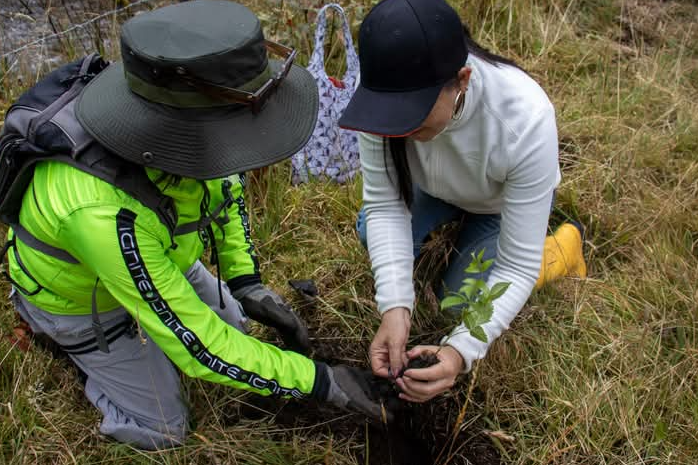 Justicia ordena medidas ambientales urgentes para proteger ecosistemas estratégicos de Nariño