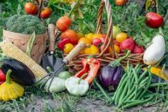 El consumo de alimentos locales gana terreno entre los hogares