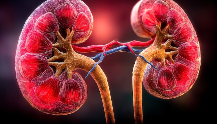 🌿 La planta que ayuda a la salud de los riñones, mejora la circulación y fortalece huesos y corazón