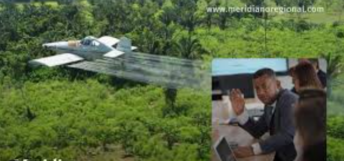 “La coca ya no es negocio para la gente”: gob. de Nariño, en desacuerdo con fumigación con glifosato