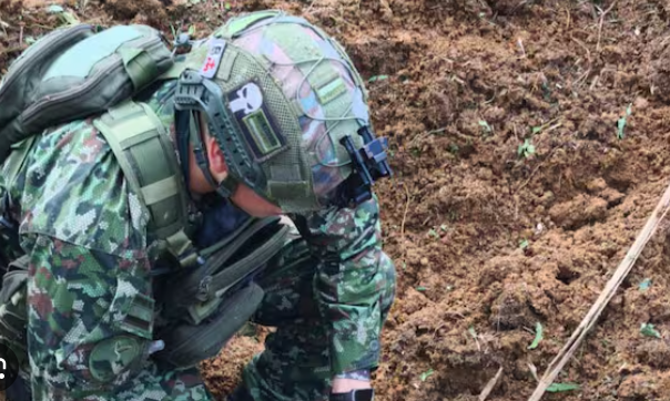 “Esperamos más ayuda del Gobierno”: Zuleima Rodríguez, madre de soldado secuestrado en Nariño