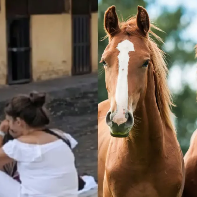 Consternación en el Valle: niña de 4 años muere en restaurante tras accidente con caballo