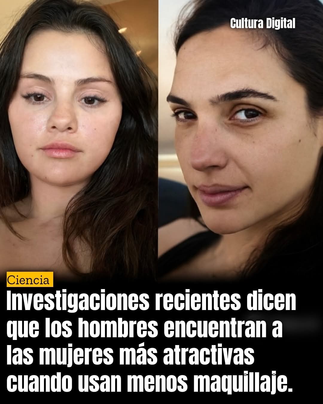 Un estudio realizado por la Bangor University y la Aberdeen University reveló un dato sorprendente