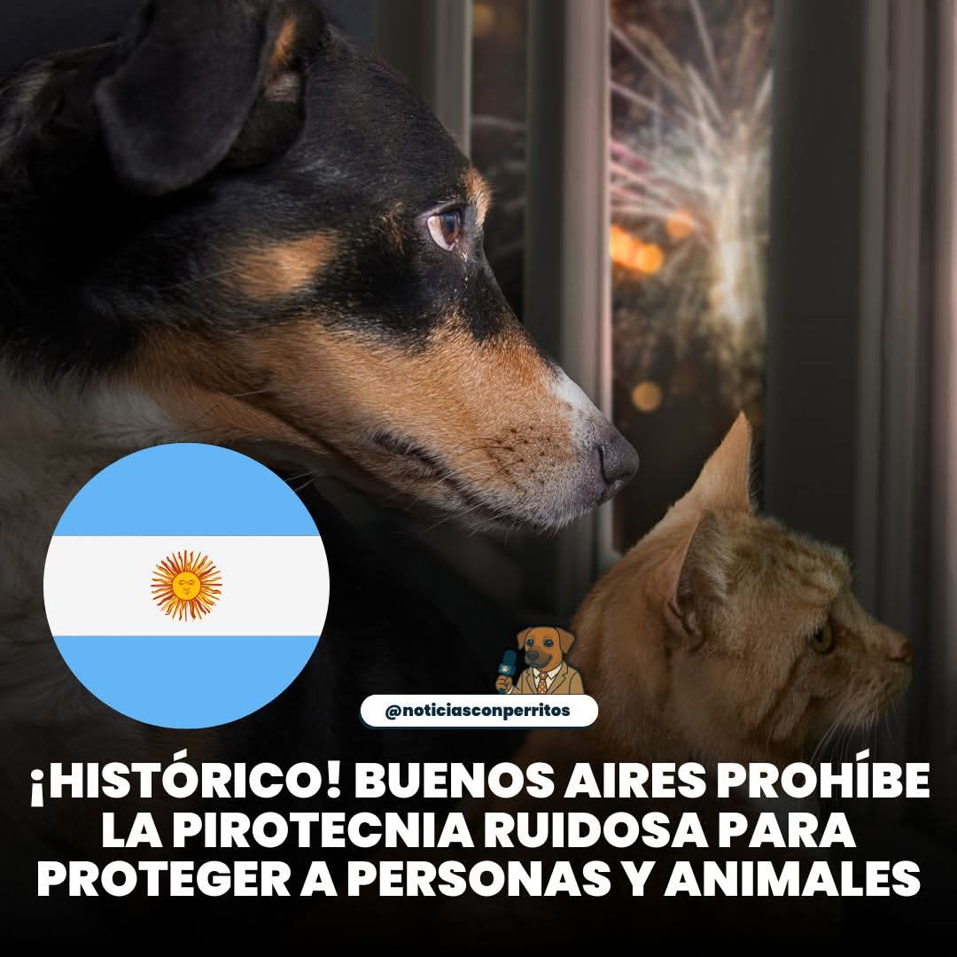 La Ciudad de Buenos Aires dio un paso histórico