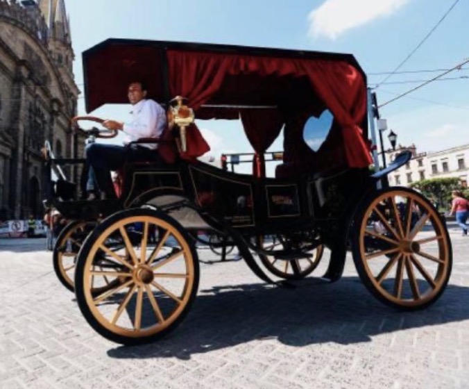 ¿Cual era el principal problema de los caballos en Cartagena ?