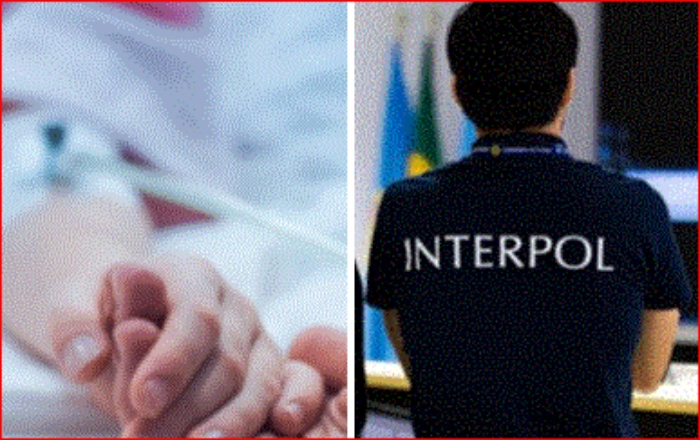 Zulma Guzmán Castro- Frambuesas- Interpol- Fiscalía- Circular Roja-