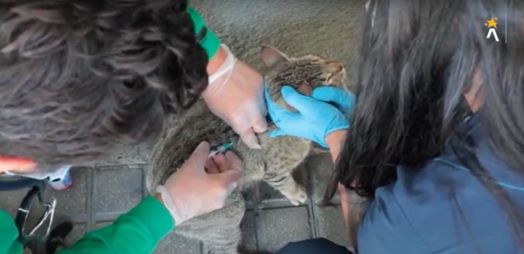 La bonanza celebra con Salud Animal y aprendizaje comunitario