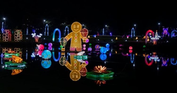 Los mejores alumbrados navideños para visitar en 2025