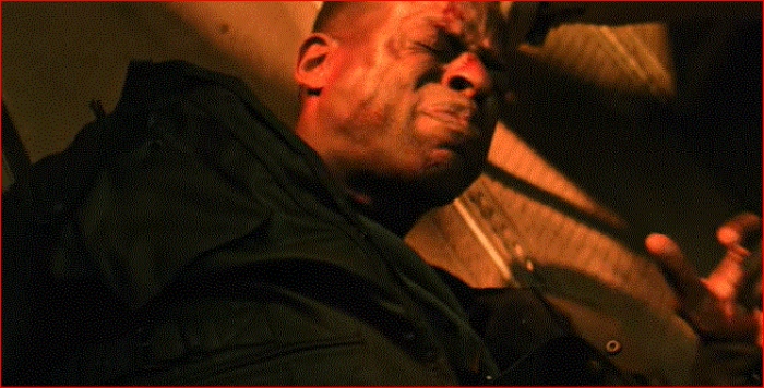 Paradise- Disney- Febrero-