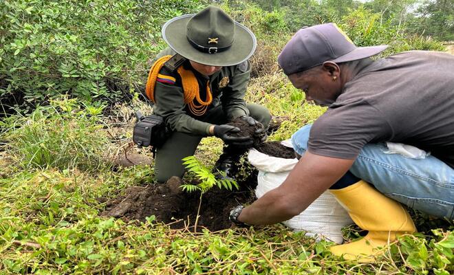 Comunidades de Tumaco siembran 500 árboles nativos para proteger fuentes hídricas y luchar contra el cambio climático