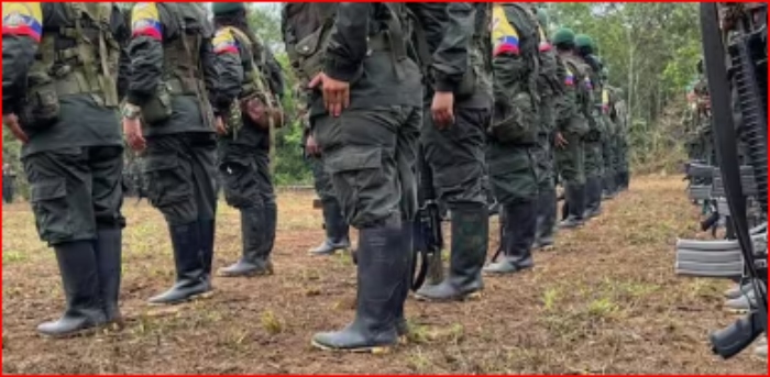 Alias Calarcá- Alias Iván Mordisco- Disidencias- Medicina Legal- Fiscalía- Guaviare- 21Ene-