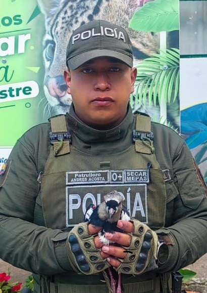 Andrés Acosta, patrullero.