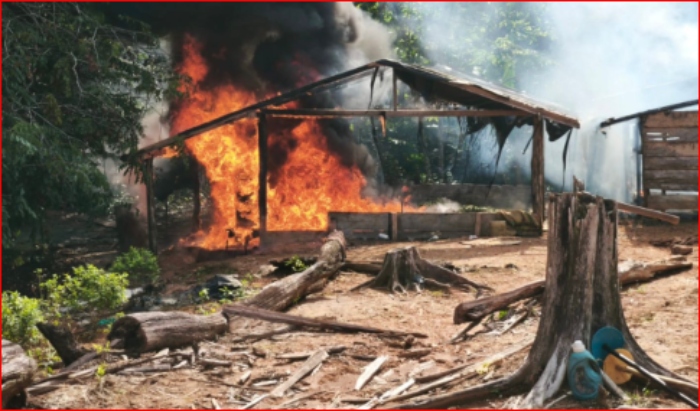 Narcotráfico- coca- Ejército- Chocó- 21Ene-