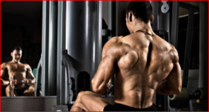 EJERCICIO- Corey Wencl- Mayo Clinic- SALUD-