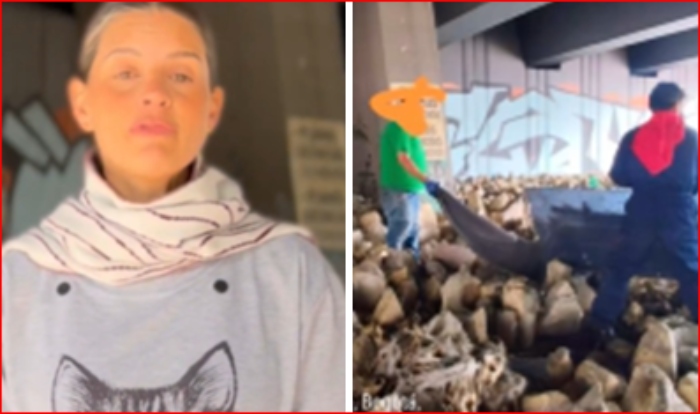 Fiscalía- Bogotá- Puente Aranda- Andrea Padilla- cráneos- animales-