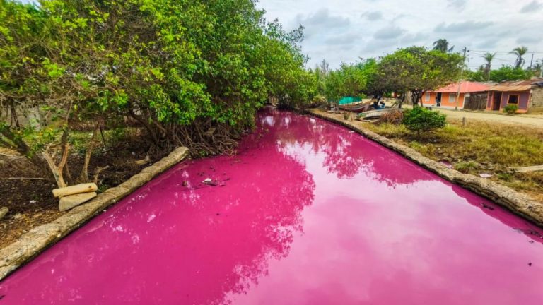 La maravilla natural de Antioquia reconocido por sus montañas y pueblos coloniales, también alberga una joya natural