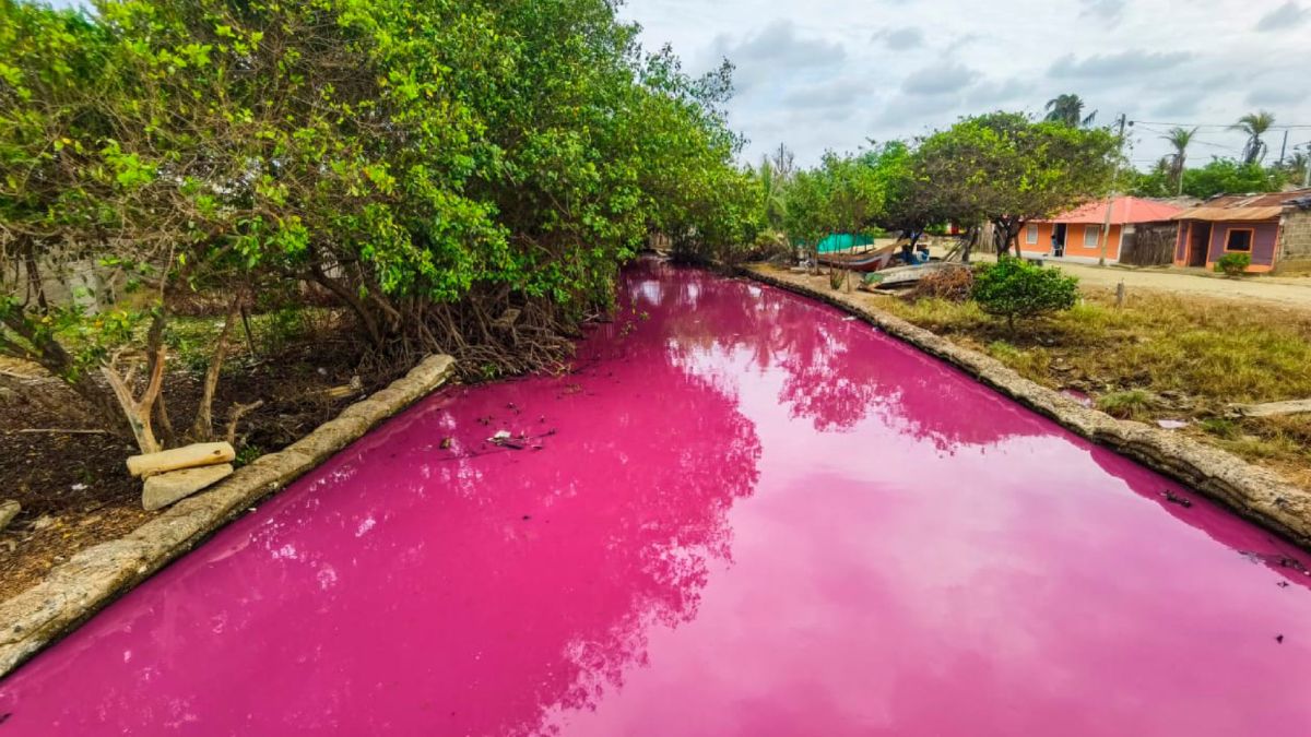 La maravilla natural de Antioquia reconocido por sus montañas y pueblos coloniales, también alberga una joya natural