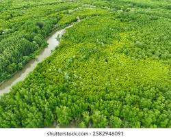 simulador de resiliencia climática para PYMES