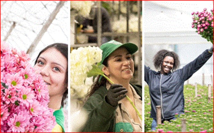 DíaMundiaDeLaMujer- 6MAR-efemérides- Asocolflores- Día de la Mujer- 8m- FLORES DE COLOMBIA-