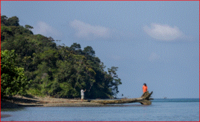 DIMAR- Pacifico- Tumaco- Valle- Nariño- Chocó- inundaciones- alerta- 16Mar-