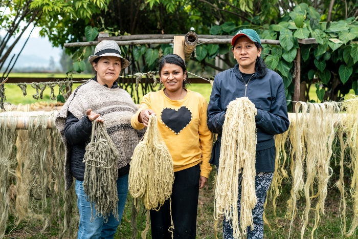Mujeres- Artesanas Guacamayas- Boyacá-Tinta Dulce-