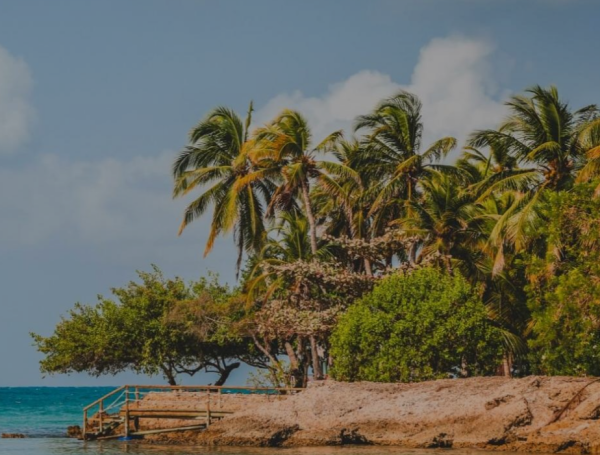 La isla vibrante del Caribe a menos de dos horas de viaje, se encuentra una isla caribeña que deslumbra por su diversidad