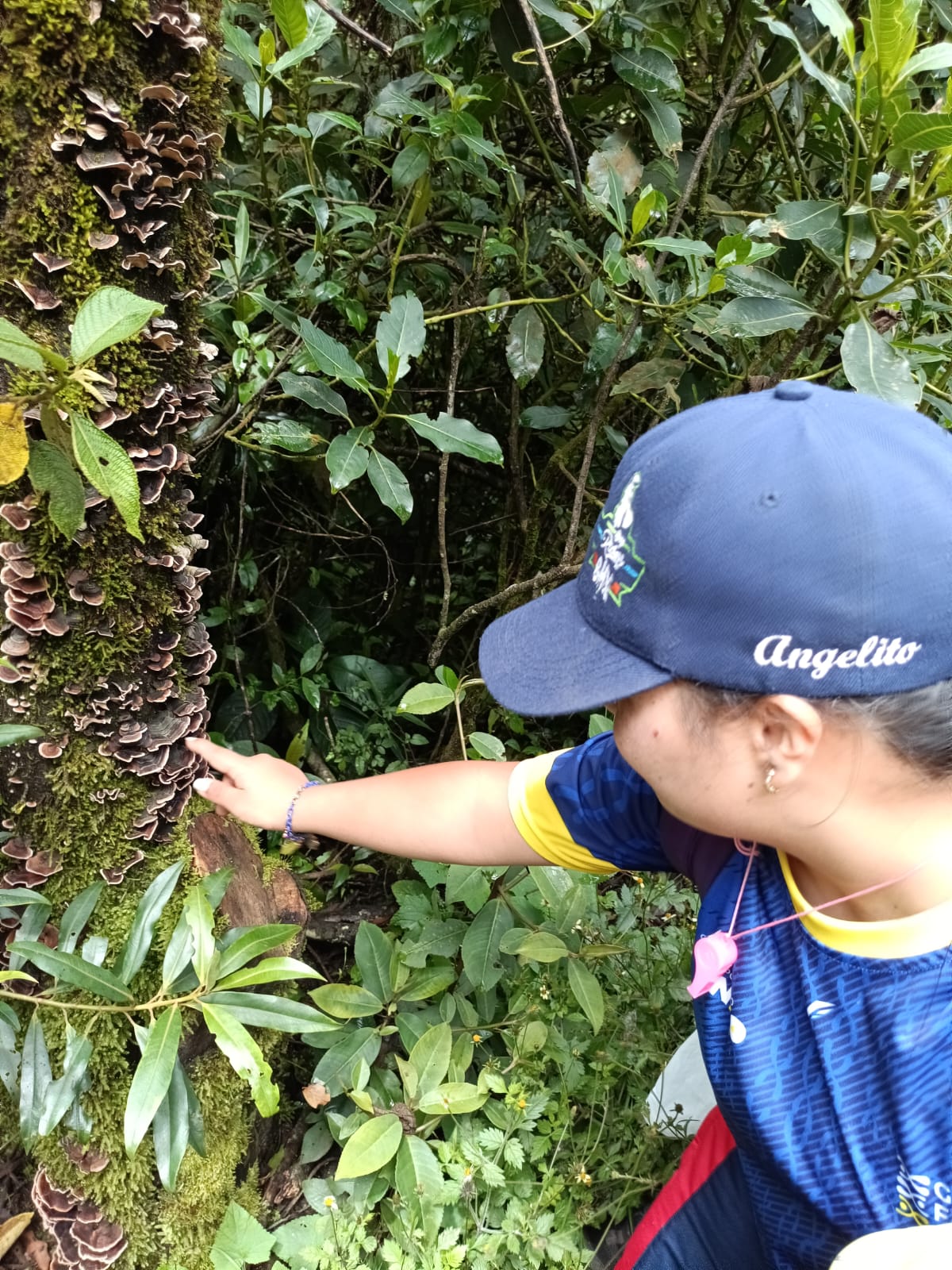 El ambiente de Nariño nos pertenece a todos… y este es el momento de escucharlo