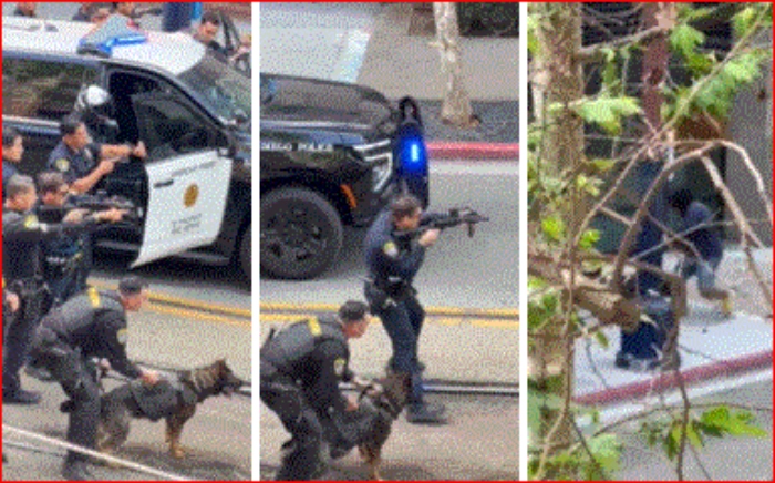 Policía- EEUU-San Diego- perro- K9- Lathapoun Keovongsa- ataque- 1q3Abr-