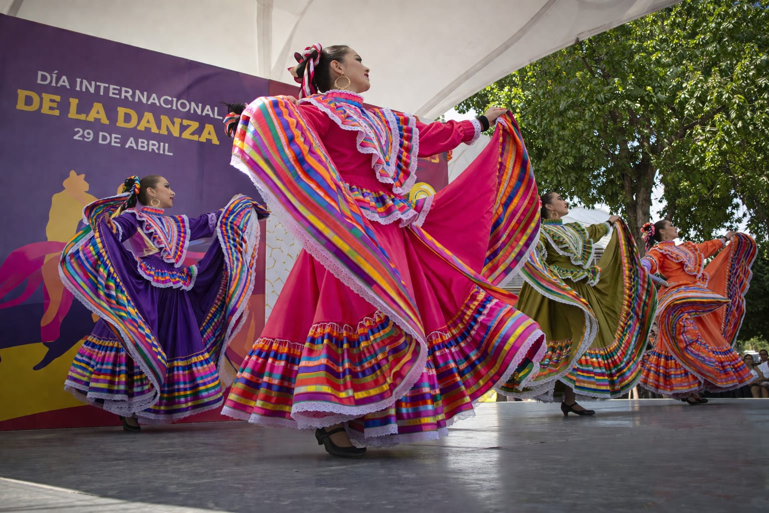 La danza es el lenguaje del alma que no necesita palabras para ser entendido.