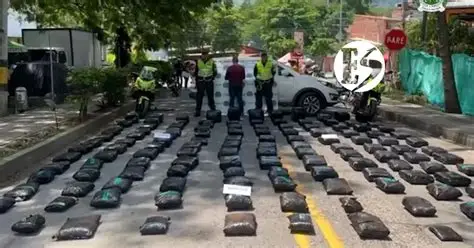 Más de 730 kilos de marihuana fueron incautados en Nariño