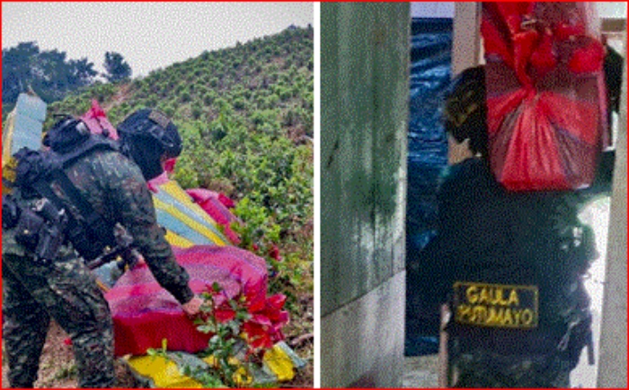 Narcotráfico- Puerto Asis- Incautación- Marihuana- Ejército-