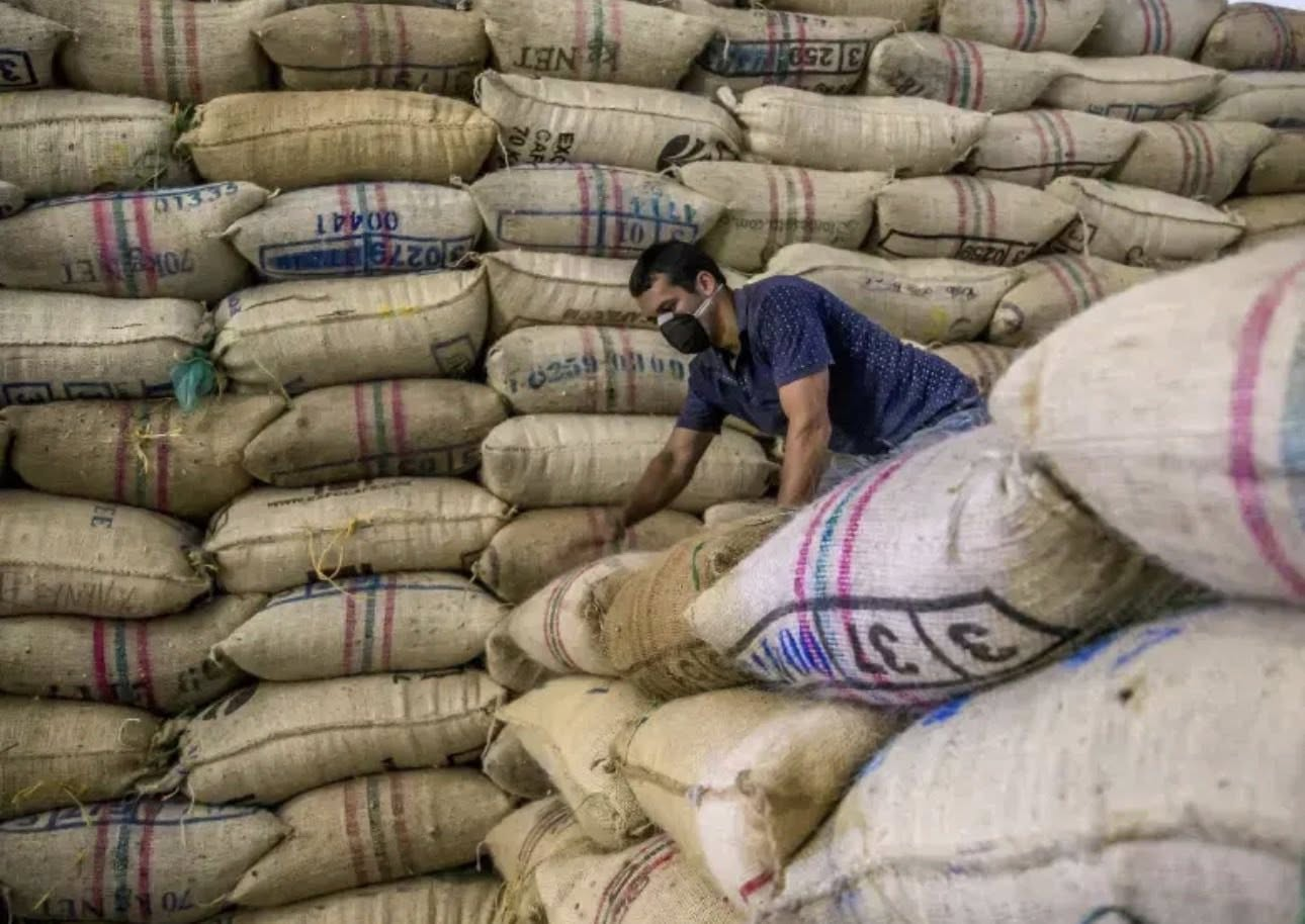 LA EXTORSIÓN DE LAS DISIDENCIAS DE ALIAS “CALARCÁ” ES LA ROYA PARA LA BONANZA CAFETERA EN COLOMBIA.