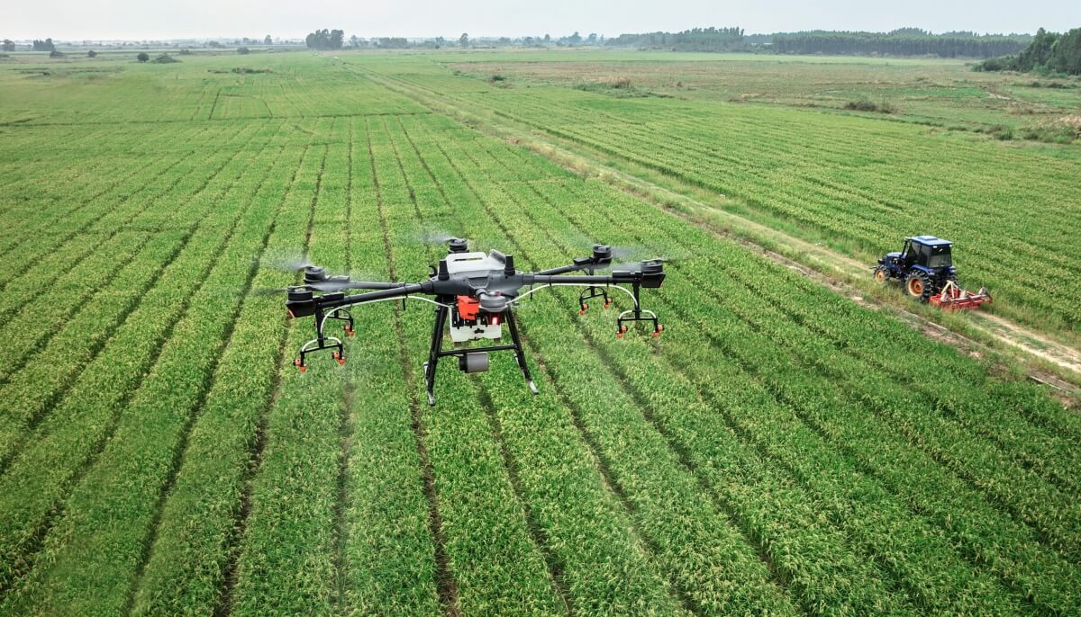 El sector agrΓcola es uno de los pilares fundamentales de la economΓa colombiana y su fortalecimiento resulta clave para el desarrollo sostenible del paΓs. Apoyar a los agricultores no solo garantiza la producciΓ³n de alimentos, sino que tambiΓ©n impulsa el empleo, reduce la pobreza rural y contribuye a la seguridad alimentaria nacional.