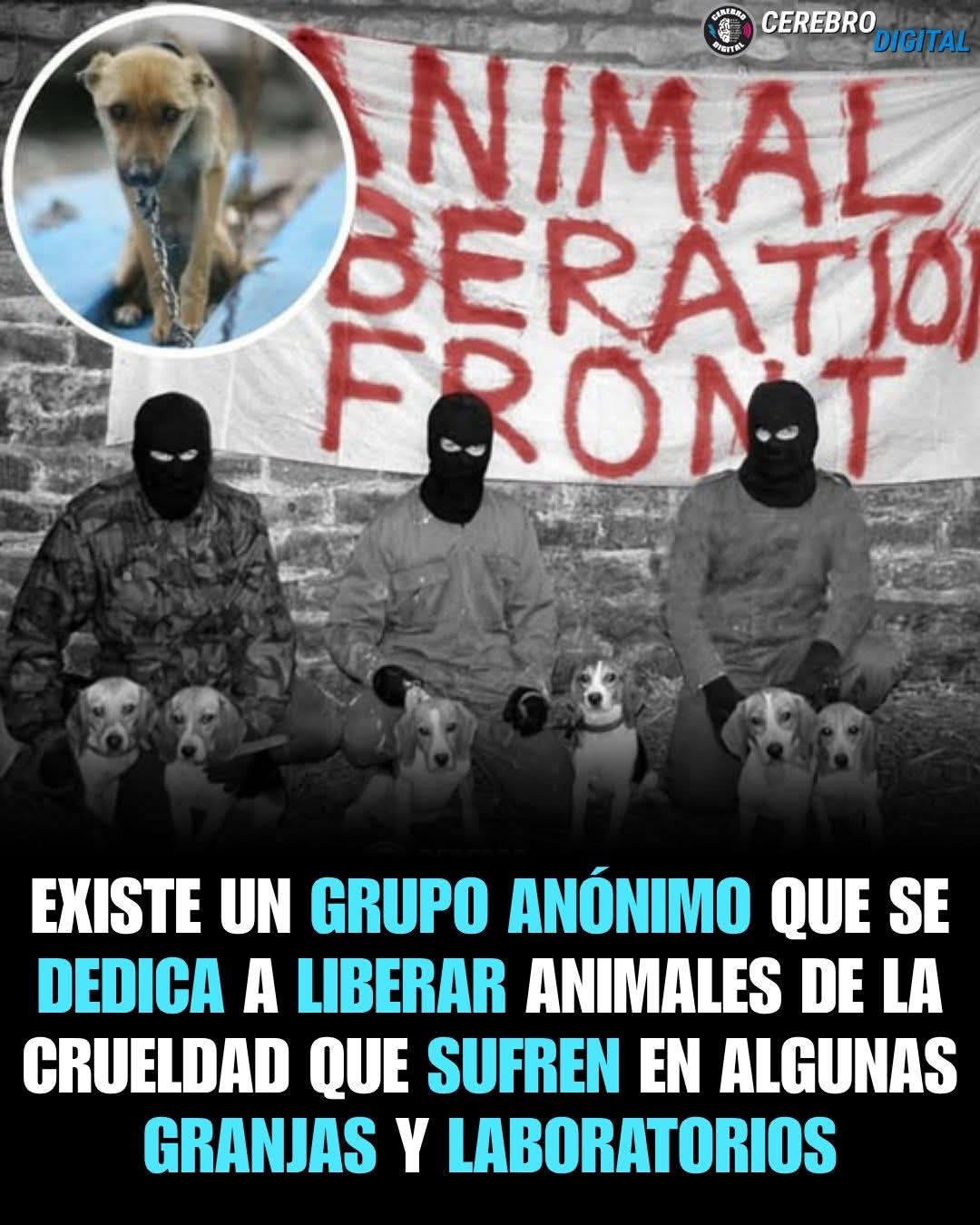 INTERNACIONAL