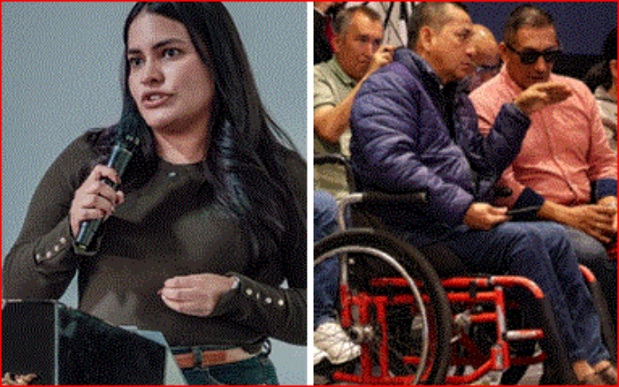 Conpes- Discapacidad- Planeación Nacional- inversión-Natalia Irene Molina-