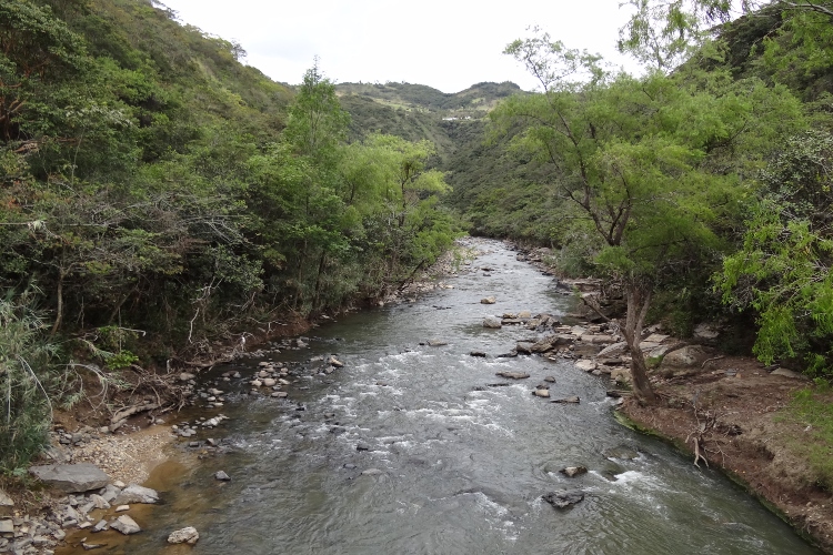 REALIZAN NUEVA JORNADA DE LIMPIEZA EN RÍO