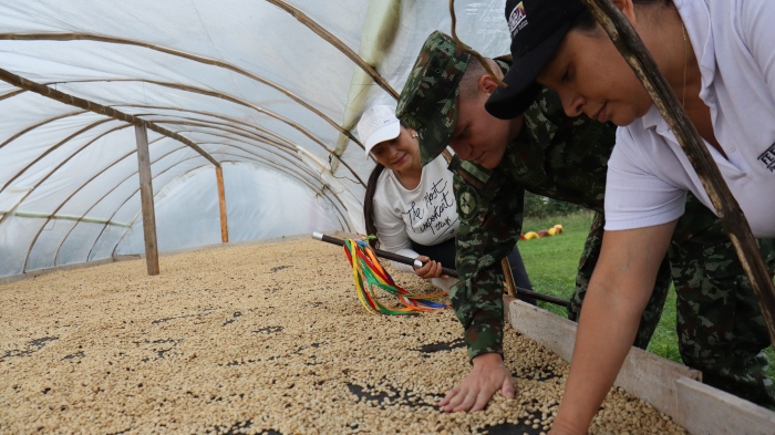 Tercera División - Ejército- Cauca- Siembra Esperanza, Cosecha Paz- Comité de Cafeteros-