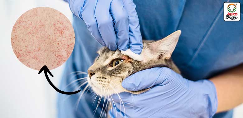 Los perros y gatos son compañeros inseparables para millones de personas en el mundo. Sin embargo, el contacto cercano con las mascotas también puede representar algunos riesgos para la salud si no se mantienen adecuados hÔbitos de higiene y controles veterinarios periódicos.