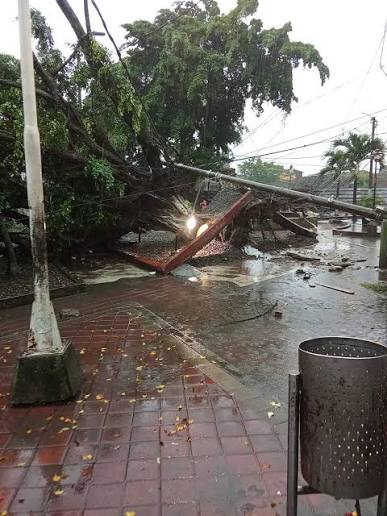 Fuertes vientos dejan sin energía a Tumaco y ocasionan múltiples afectaciones