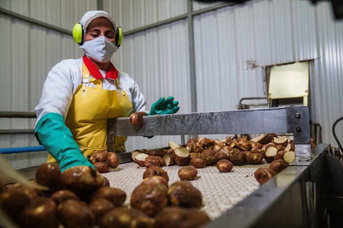 Alimentos- sostenibilidad- Comestibles Ricos S.A-