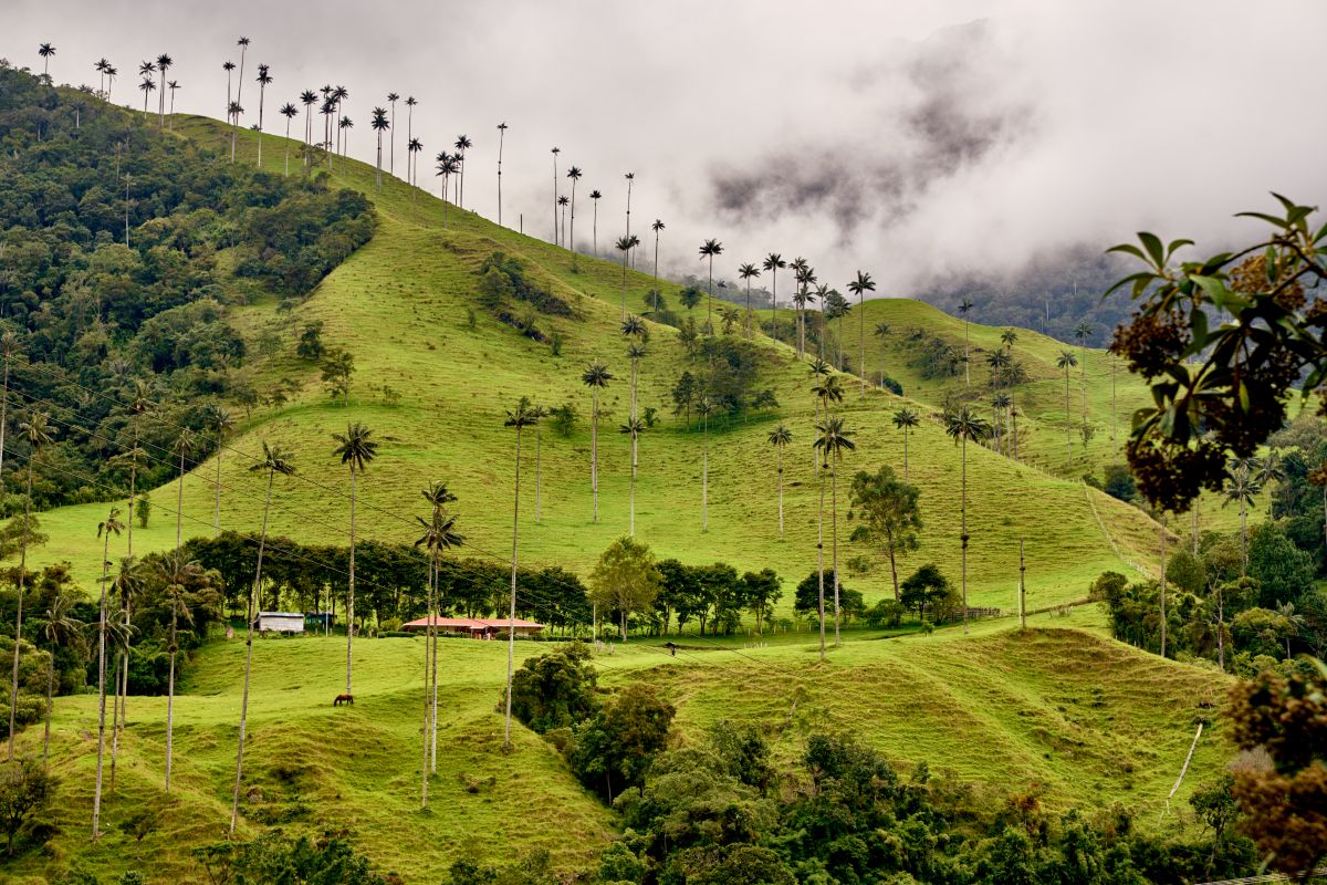 Así invitan a viajar por Colombia y contribuir a la reactivación de los destinos afectados por el terremoto