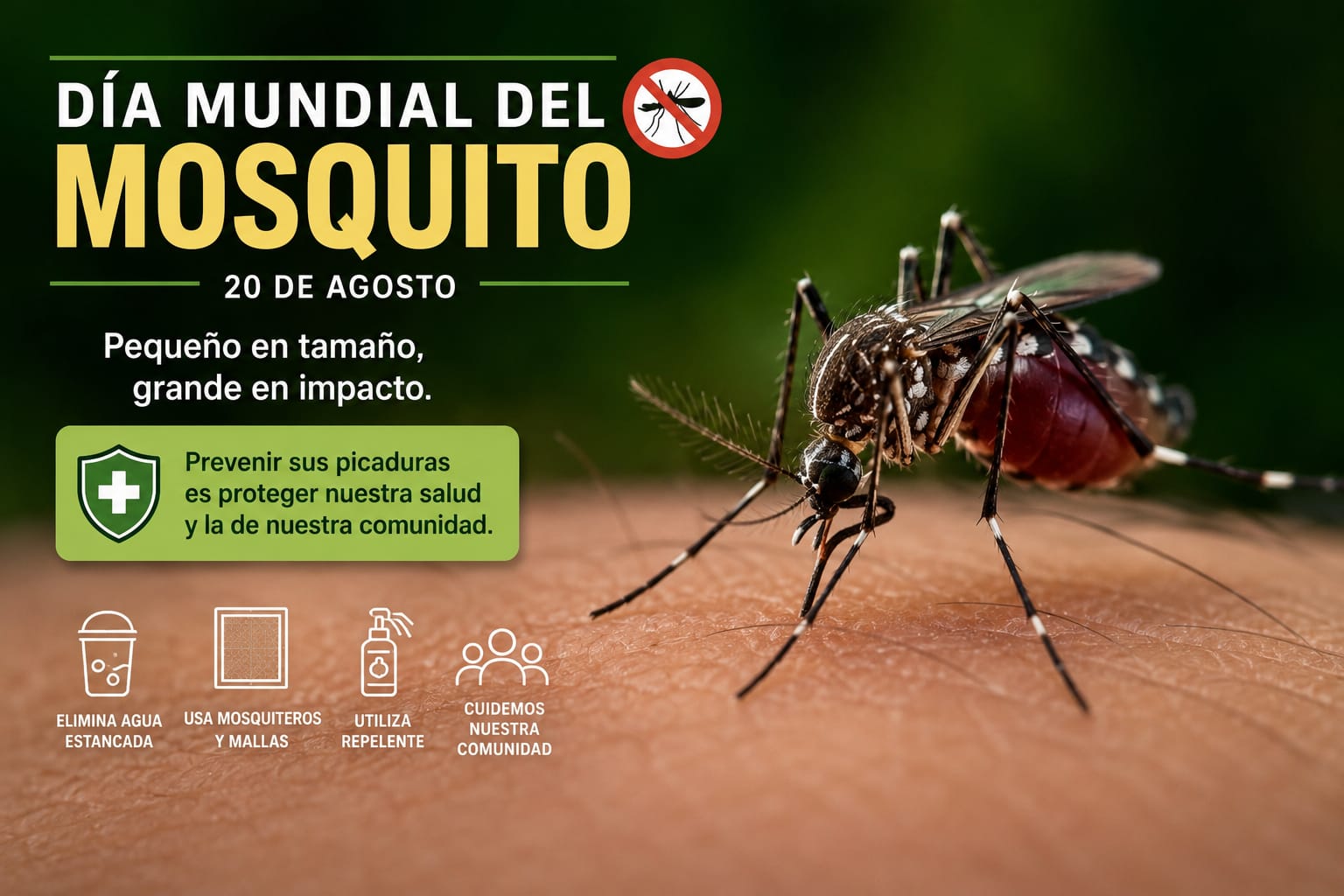 Prevenir las picaduras de mosquitos es también una forma de proteger nuestra salud y la de nuestra comunidad.