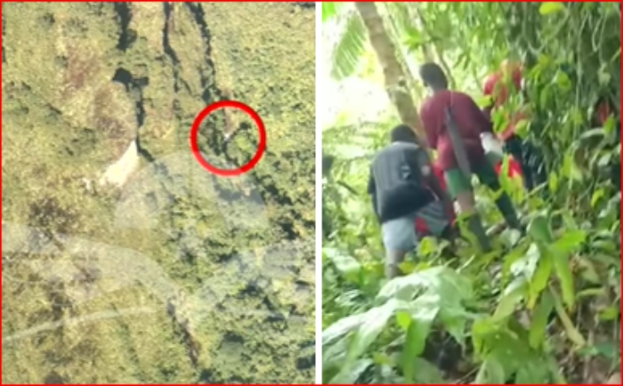Chocó- Avioneta- Colmédica- Fuerza Aerea- cerro Tatamá- Condoto- Guaymaral-