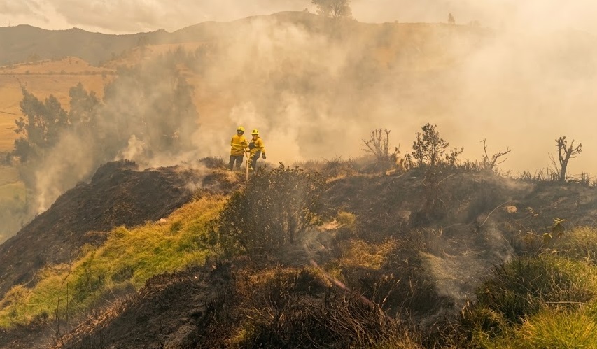 Unidades del Cuerpo de Bomberos combaten las llamas durante una emergencia forestal, adelantando labores de control y extinción para evitar que el fuego continúe propagándose. Las acciones están orientadas a proteger la vegetación y a las comunidades.
